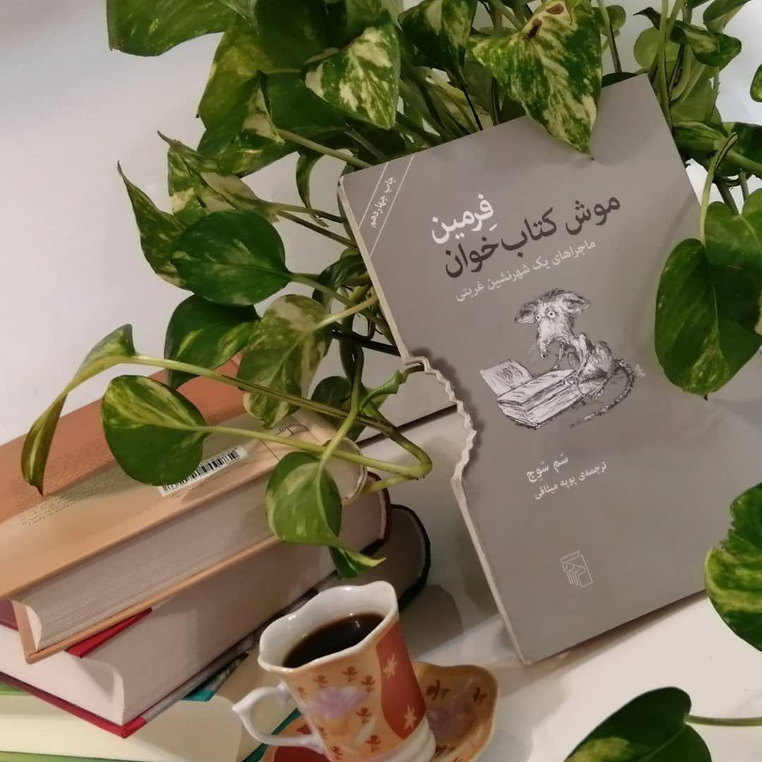 فرمین موش کتاب‌خوان